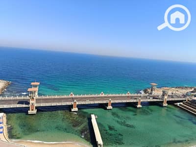 2 Bedroom Flat for Rent in Stanley, Alexandria - 1000009440. jpg
