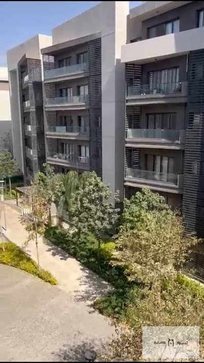 3 Bedroom Apartment for Sale in Madinaty, Cairo - WhatsApp Image 2025-08-06 at 17.12. 25_a0997e39. jpg