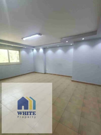 Office for Rent in Dokki, Giza - 1000438297. jpg