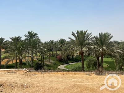 4 Bedroom Villa for Sale in New Cairo, Cairo - WhatsApp Image 2025-07-17 at 17.20. 58_e7896cec - Copy. jpg
