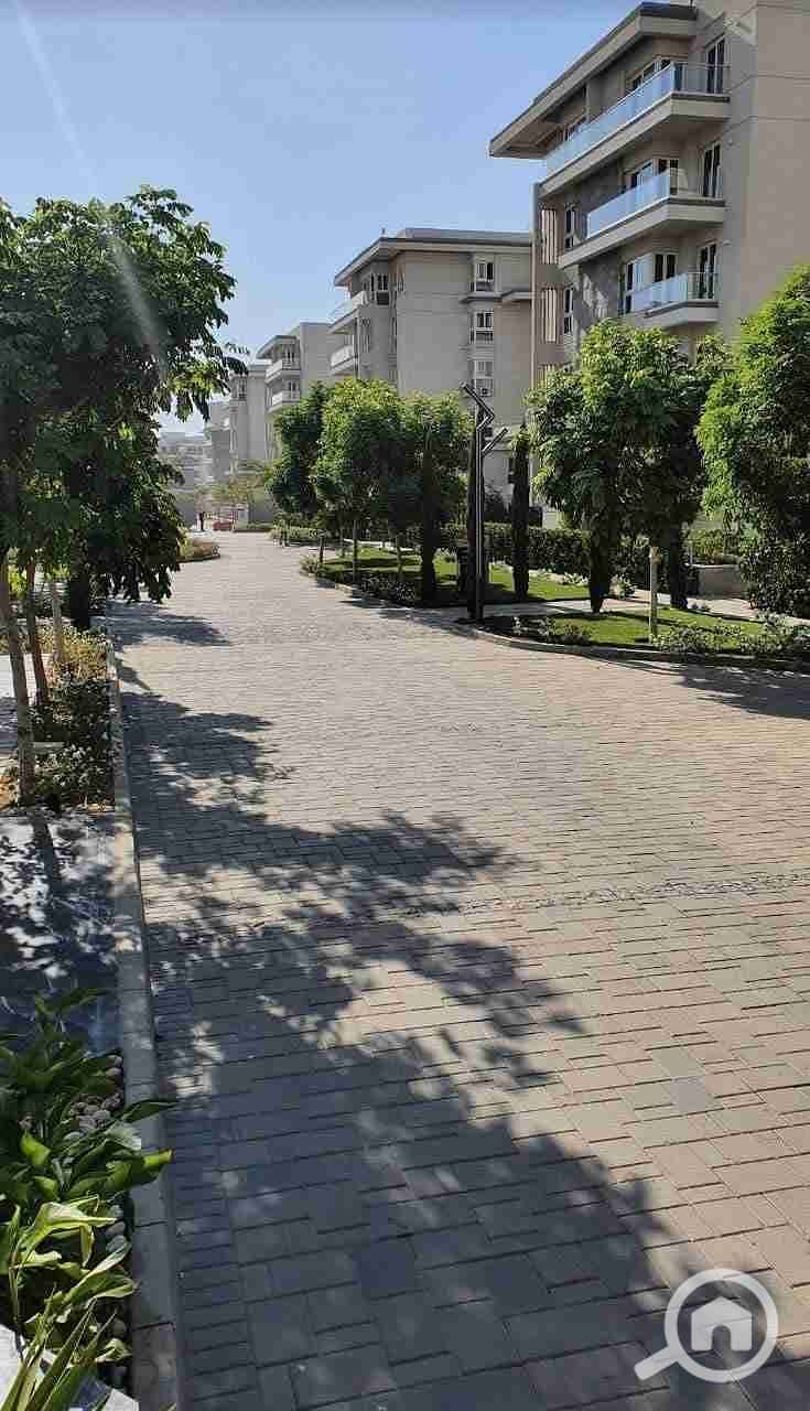 6 1000868320. jpg