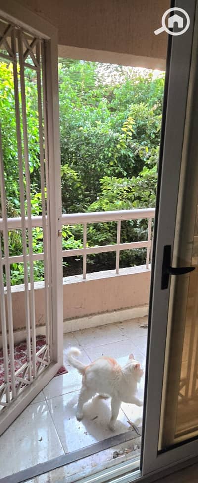 2 Bedroom Flat for Sale in Madinaty, Cairo - 3f5fe54f-2ba2-4df0-9684-28cac655e63f. jpg