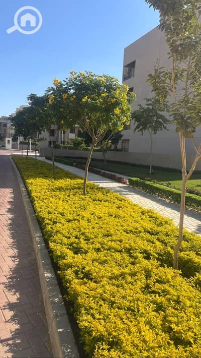 تاون هاوس 5 غرف نوم للبيع في القاهرة الجديدة، القاهرة - WhatsApp Image 2025-08-04 at 3.13. 05 PM. jpeg
