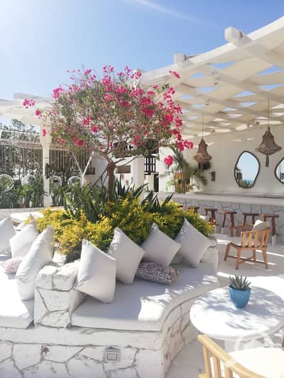 2 Bedroom Chalet for Sale in North Coast, Matruh - WhatsApp Image 2024-05-23 at 10.06. 39 PM. jpeg