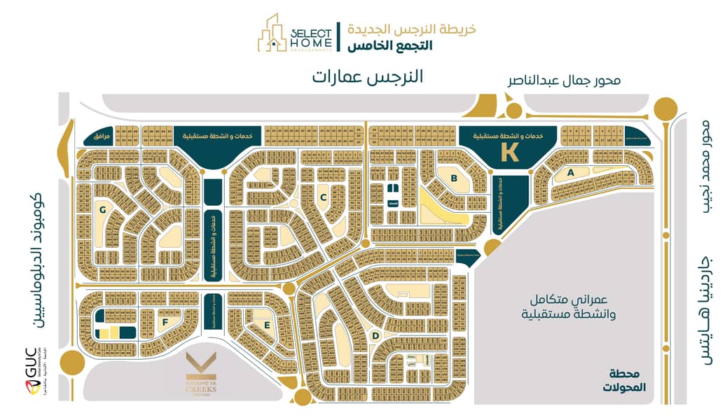 5 النرجس الجديدة. jpg