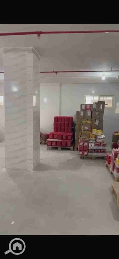 مستودع  للايجار في القاهرة الجديدة، القاهرة - 1000483681. jpg