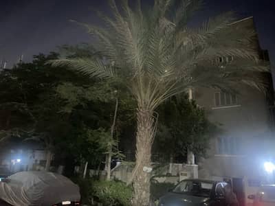 10 Bedroom Villa for Sale in Nasr City, Cairo - ٦ شارع الربيع مدينة نصر المنطقة الاولي-متفرع من الطيران—خلف سعودي