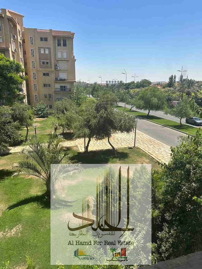 5 1000301557. jpg