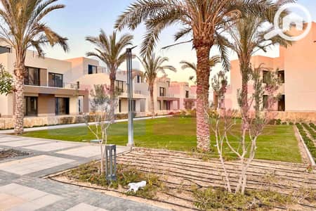 4 Bedroom Twin House for Sale in Amreya, Alexandria - IMG-20250803-WA0081. jpg