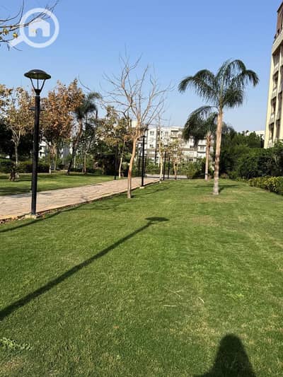 3 Bedroom Flat for Sale in Madinaty, Cairo - WhatsApp Image 2025-06-14 at 12.09. 35 PM. jpeg
