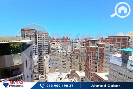 3 Bedroom Apartment for Sale in Miami, Alexandria - 20250702_125741. jpg