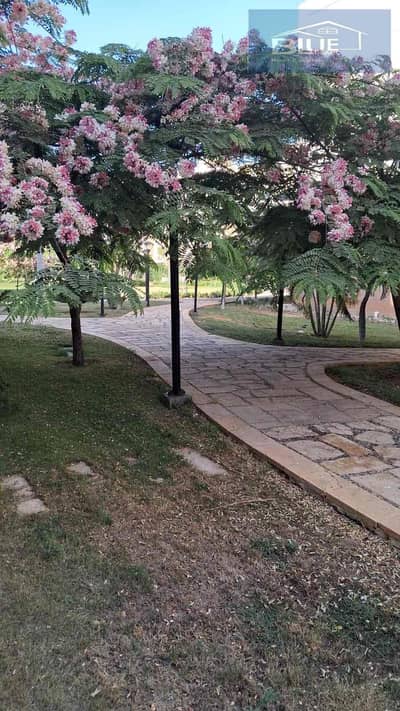 3 Bedroom Apartment for Rent in Madinaty, Cairo - 9cc0a951-f2c2-4737-b150-1901bb064a8d. jpg