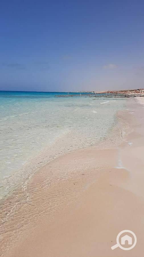 8 photo-el-alamein-16. jpeg