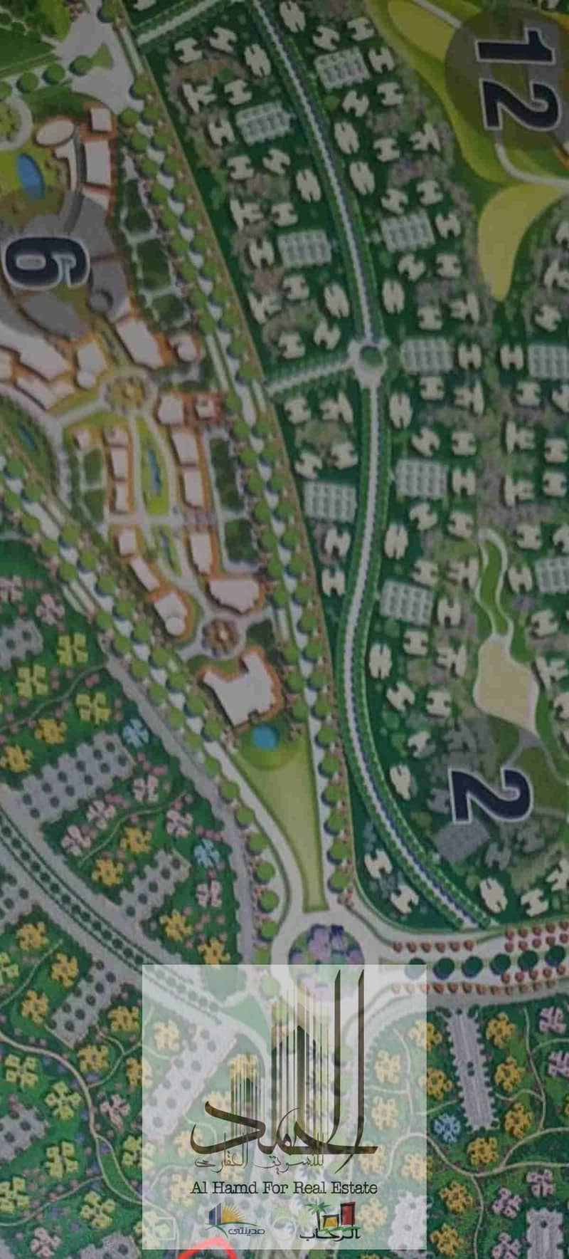 9 1000283533. jpg