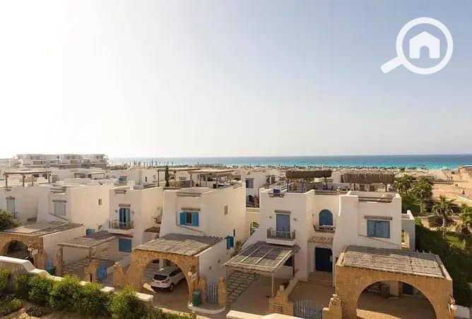 3 بيانكى (2). jpg