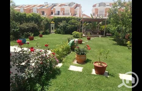 4 Bedroom Townhouse for Sale in New Cairo, Cairo - WhatsApp Image 2025-05-02 at 13.49. 17_f6cda3c1. jpg