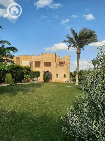 5 Bedroom Villa for Rent in North Coast, Matruh - WhatsApp Image 2025-07-23 at 1.09. 31 PM (1). jpeg