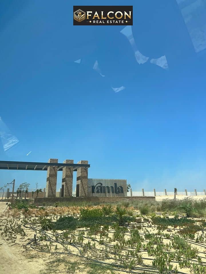 7 513878638_1375195000262985_8556902480583471527_n. jpg