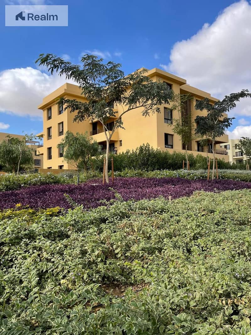 4 IMG-20250603-WA0036 - Copy. jpg