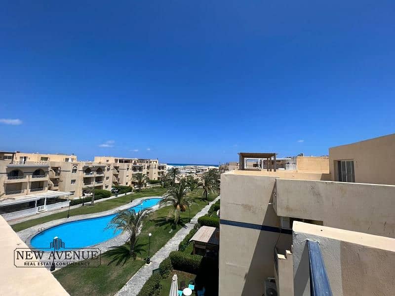 3 WhatsApp Image 2024-08-27 at 4.35. 37 PM. jpg