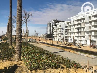 شقة 2 غرفة نوم للبيع في الساحل الشمالي، مطروح - IMG-20250806-WA0132. jpg