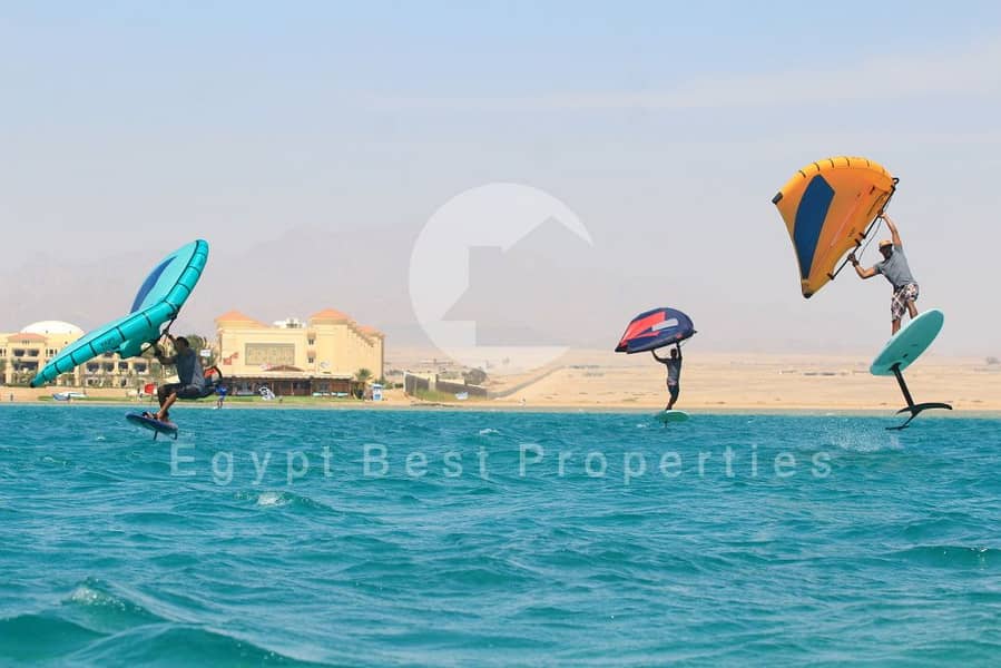 2 wingfoil_holidays_egypt1673383210مننننتتلامكنط. jpg