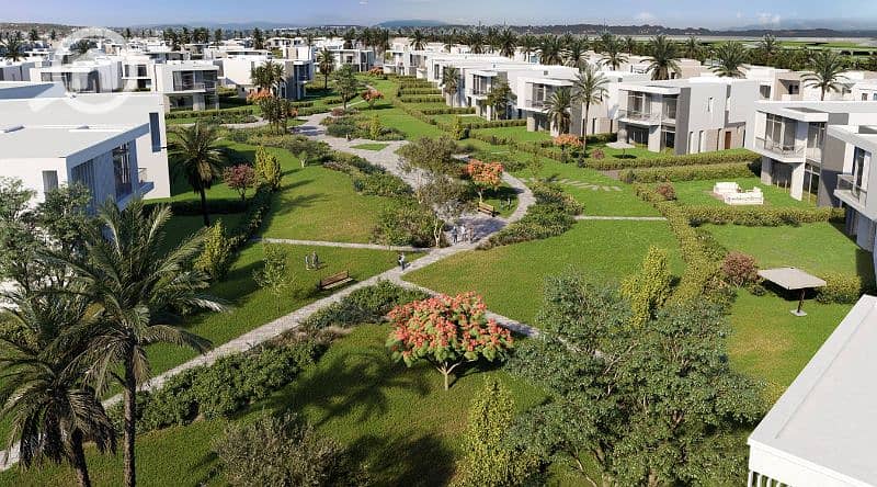 19 ZED East Hero. jpg