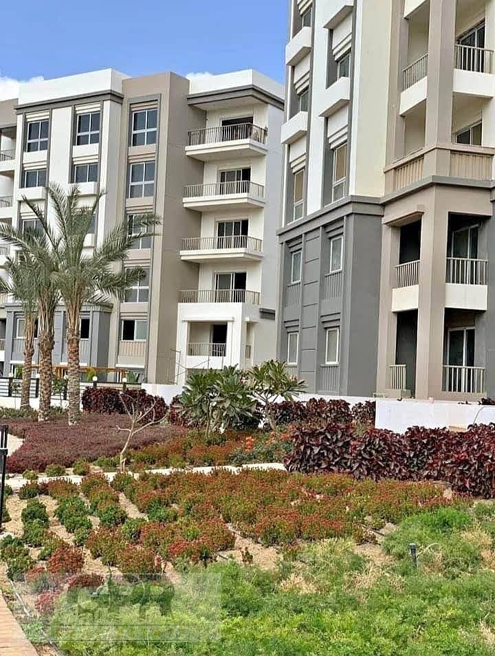 2 سصيصيس. jpg
