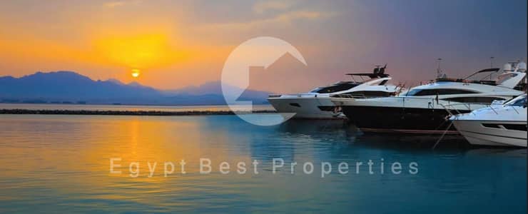 4 Bedroom Villa for Sale in Soma Bay, Red Sea - WhatsApp Image 2025-08-09 at 2.28. 53 AM (2). jpeg