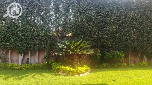4 Bedroom Twin House for Sale in New Cairo, Cairo - WhatsApp Image 2025-08-11 at 12.53. 52_b6049927. jpg