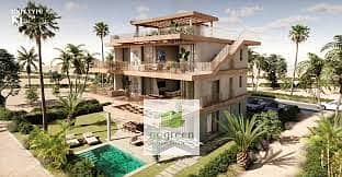 6 images (4). jpg