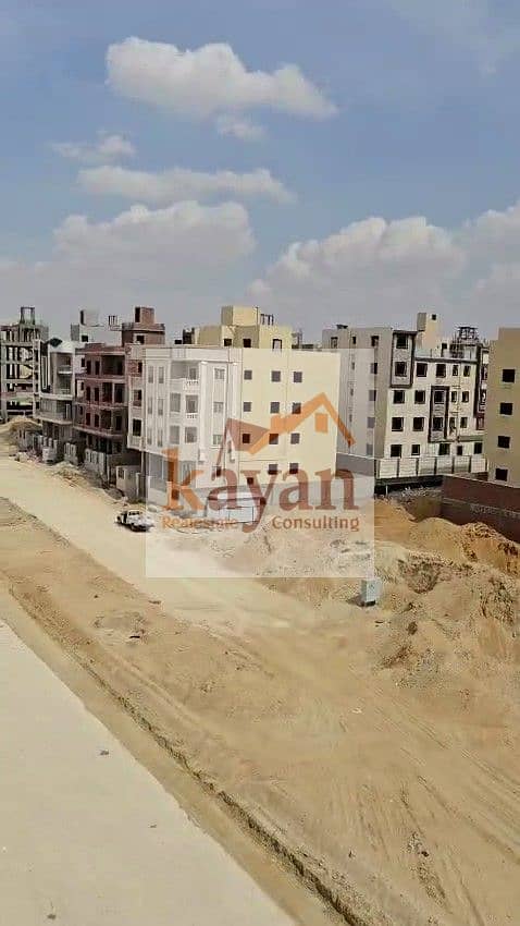 5 النرجس الجديده 4. jpg