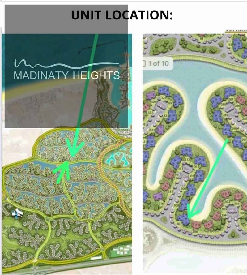 4 1000065493. jpg