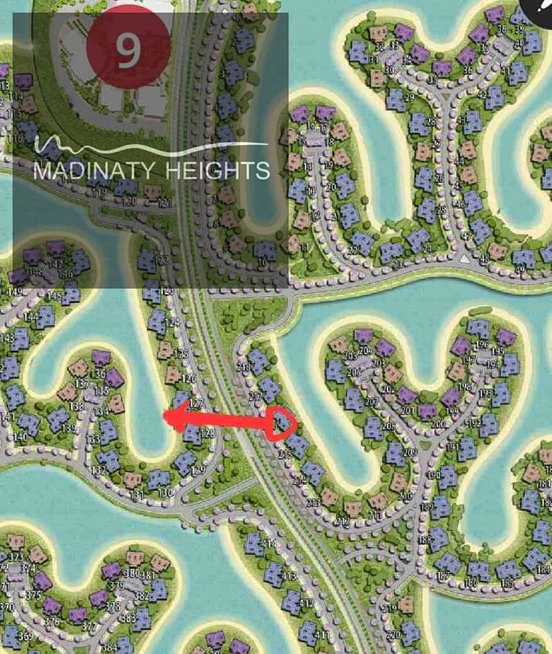3 1000074113. jpg