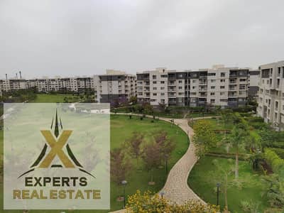 3 Bedroom Flat for Sale in Madinaty, Cairo - WhatsApp Image 2025-07-29 at 4.13. 31 PM. jpeg