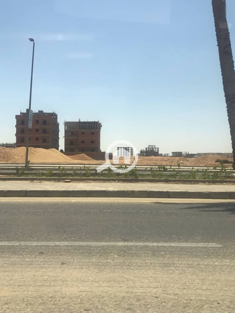 7 8. jpg