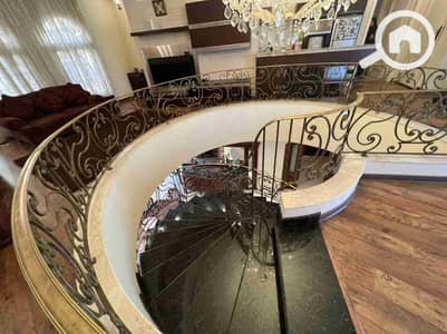 10 Bedroom Villa for Sale in New Cairo, Cairo - 1000002042. jpg