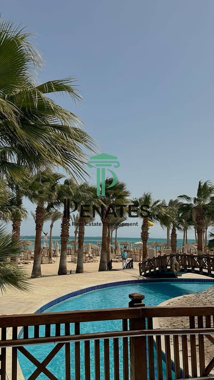 4 #hurghada #ägypten #view #holiday #palm #zitate…. jpeg