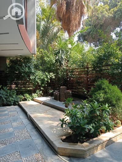 Commercial Building for Rent in Maadi, Cairo - مبنى اداري مفروش للايجار لكبرى الشركات بسرايات المعادى 1000 متر