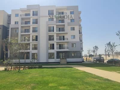 3 Bedroom Apartment for Sale in Sheikh Zayed, Giza - WhatsApp Image 2025-06-29 at 2.20. 29 PM (4). jpeg