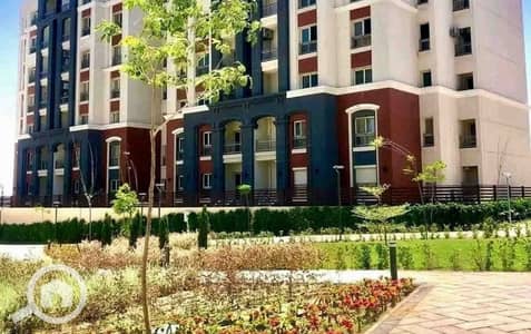 3 Bedroom Apartment for Sale in Agami, Alexandria - WhatsApp Image 2025-08-11 at 3.35. 40 PM (4). jpeg