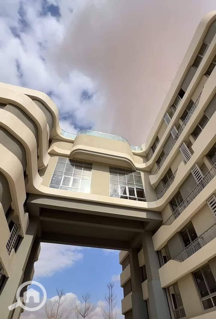4 474392408_122185915844088779_4626630157200992267_n. jpg