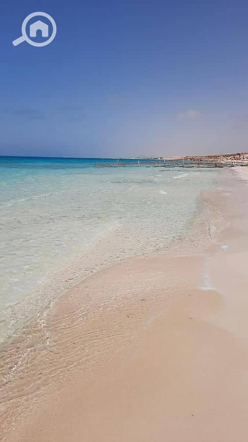 11 photo-el-alamein-16. jpeg