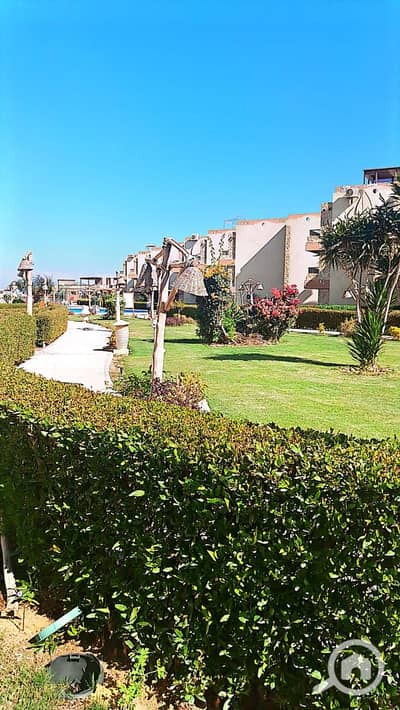 2 Bedroom Chalet for Rent in Ain Sukhna, Suez - WhatsApp Image 2025-08-12 at 12.00. 21 PM (2). jpeg