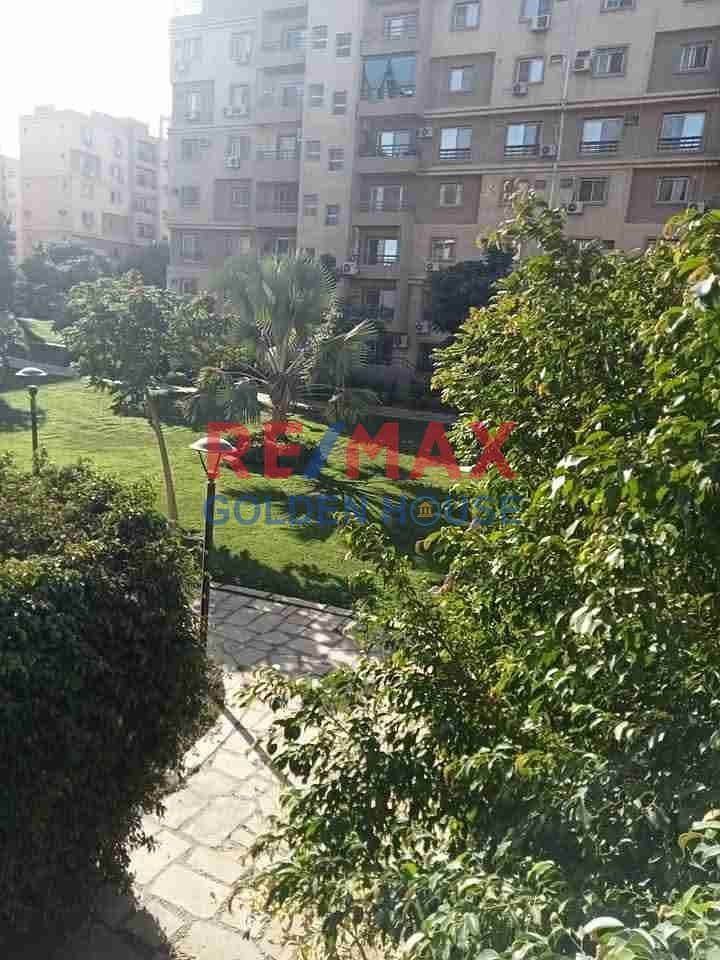 3 1001798466. jpg
