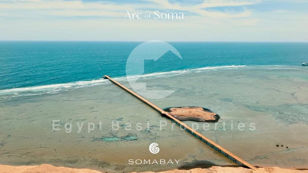 7 soma bay (6). jpeg