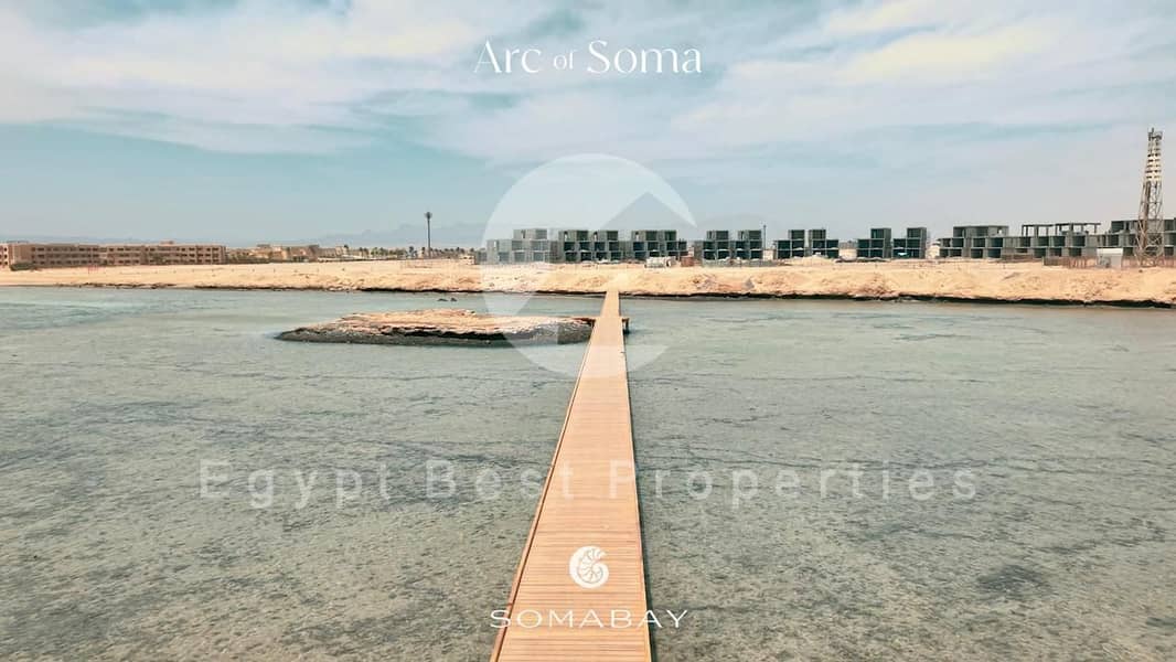 8 soma bay (7). jpeg