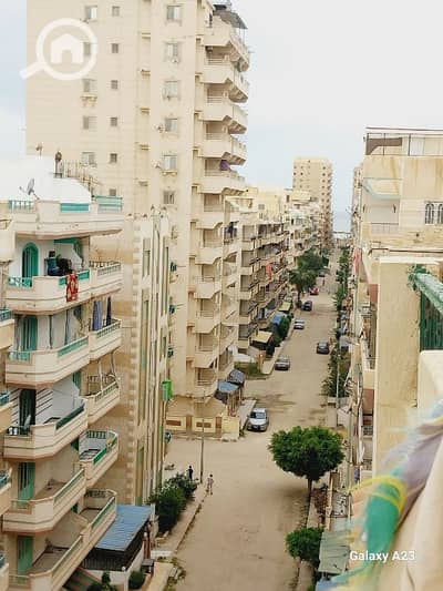 دوبلكس 2 غرفة نوم للبيع في النخيل، الإسكندرية - شقه بالروف 160م في العجمي شاطيء النخيل خطوات من البحر والخدمات