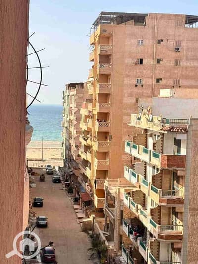 شقة 2 غرفة نوم للبيع في النخيل، الإسكندرية - 1000231212. jpg