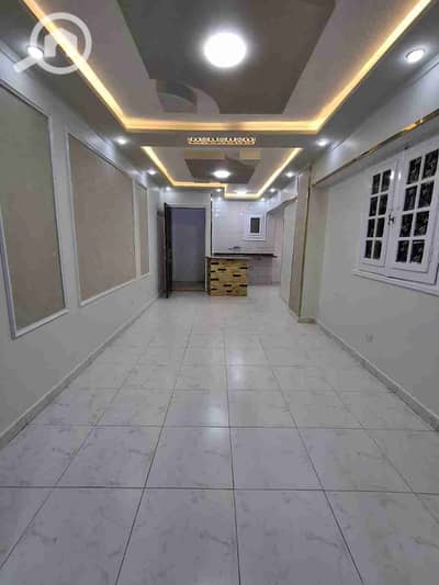 2 Bedroom Flat for Sale in Nakheel, Alexandria - 1000230600. jpg